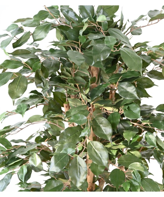 Artificial FICUS BENJAMINA ECO