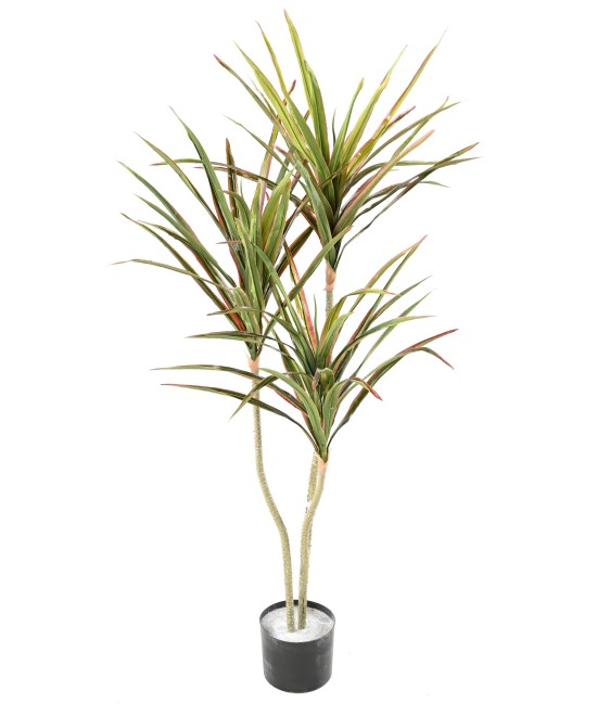 Kunstlik DRACEAENA