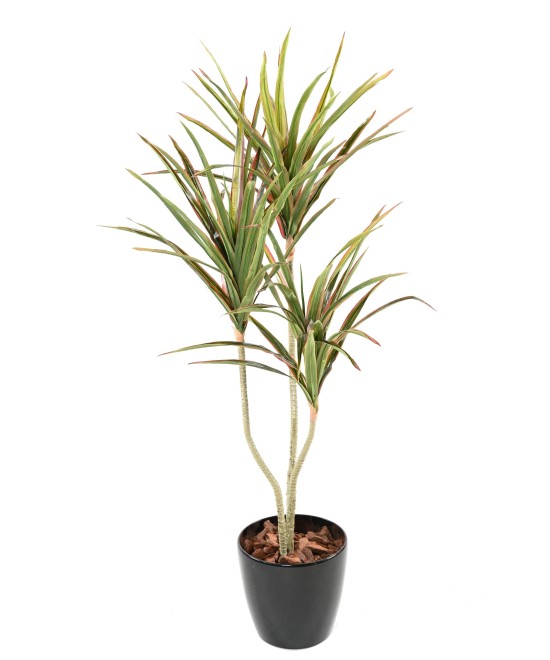 Artificial DRACAENA