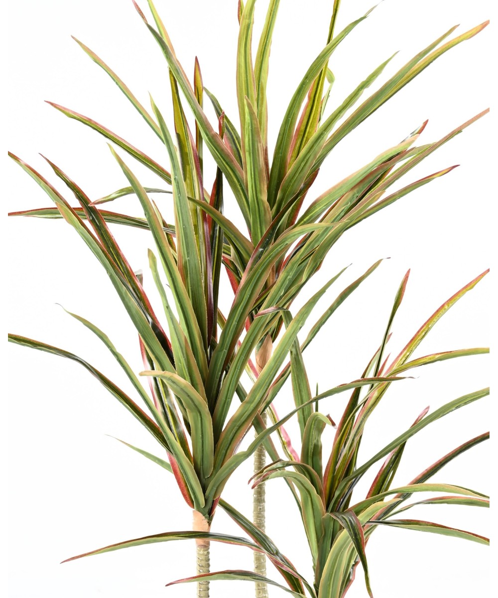 Artificial DRACAENA