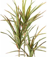 Artificial DRACAENA