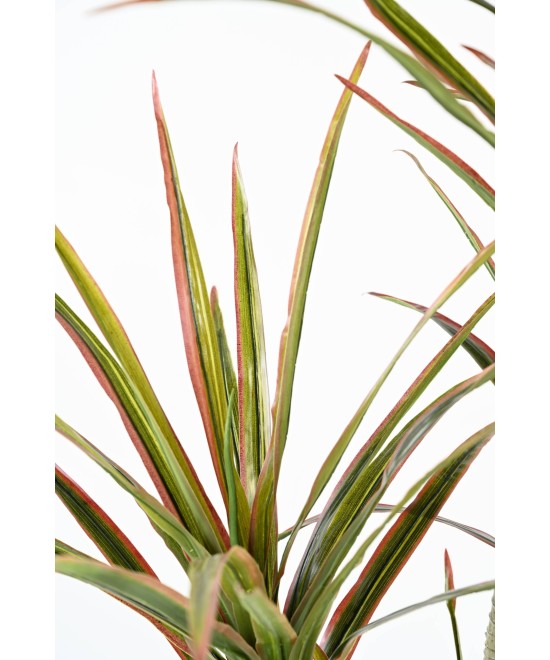 Artificial DRACAENA