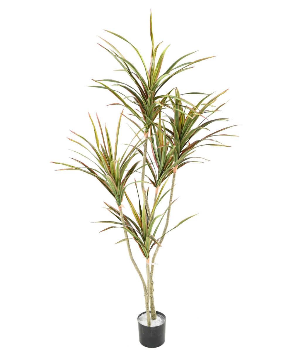Kunstlik DRACEAENA