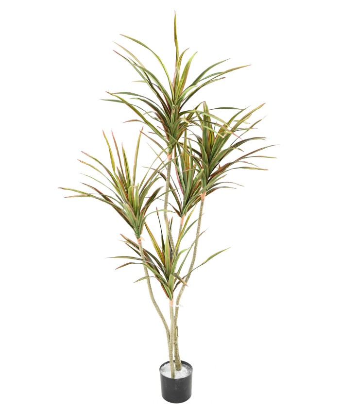 Kunstlik DRACEAENA