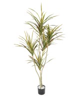 Kunstlik DRACEAENA