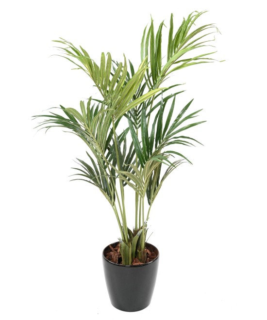 Kunstkentia ECO