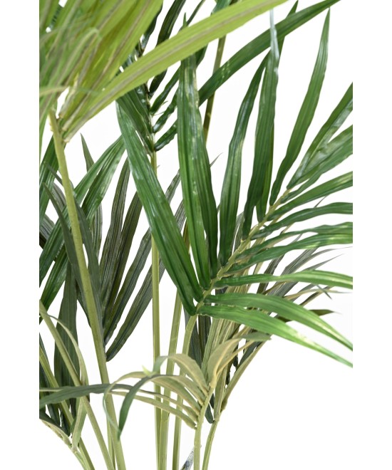Kunstkentia ECO