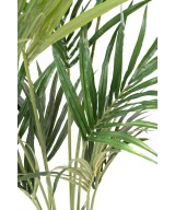 Kunstkentia ECO