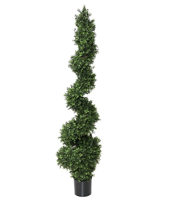 Kunstpukspuu, peen spiraal