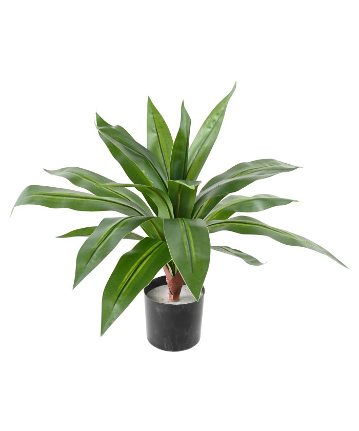 Artificial LARGE DRACAENA