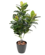 Artificial RUBBER TREE