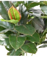 Artificial RUBBER TREE