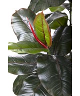 Artificial RUBBER TREE