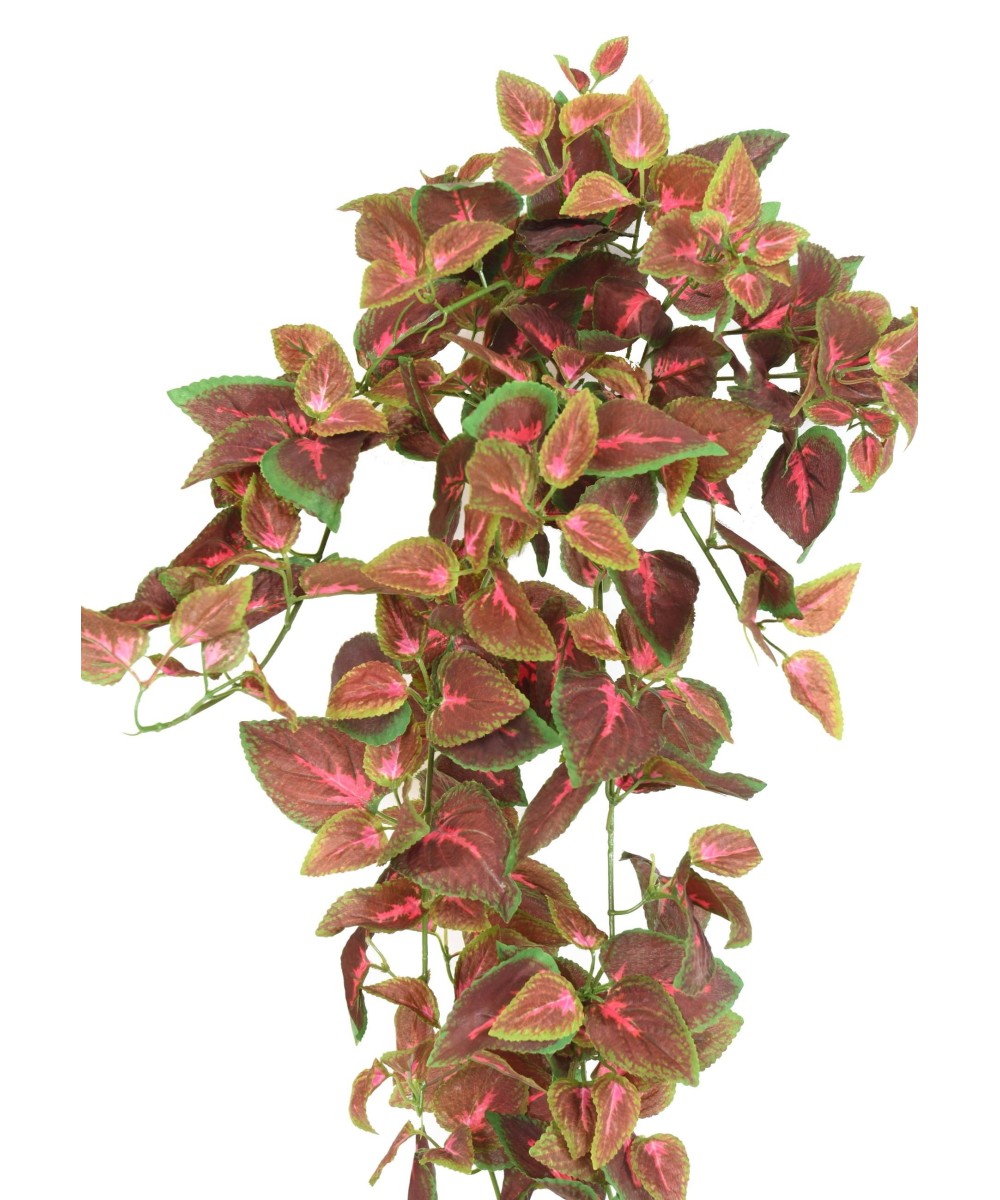 Kunstlik rippuv põõsas COLEUS 75