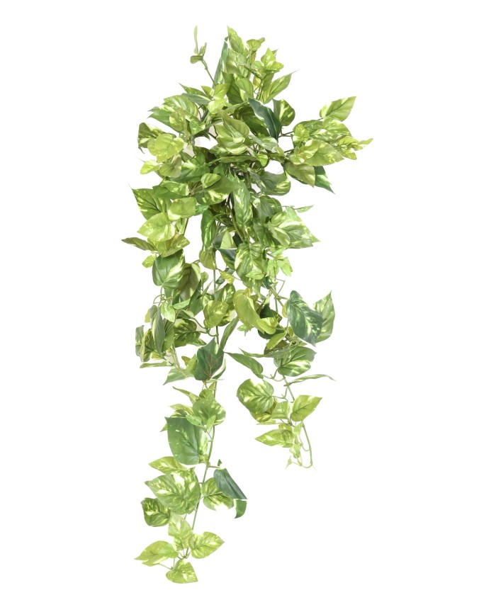 Kunstlik mini-ripppõõsas POTHOS 80
