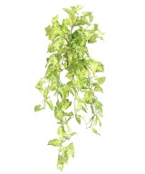 Artificial SYNGONIUM MINI HANGING BUSH 80