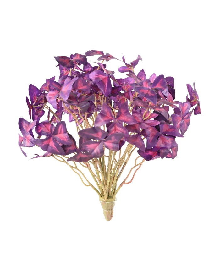 Kunstlik OXALIS (ripslill)