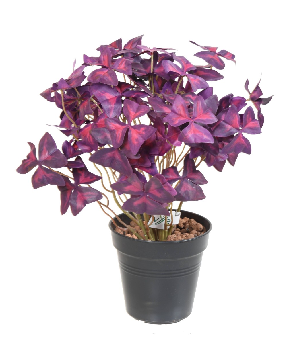 Kunstlik OXALIS (ripslill)