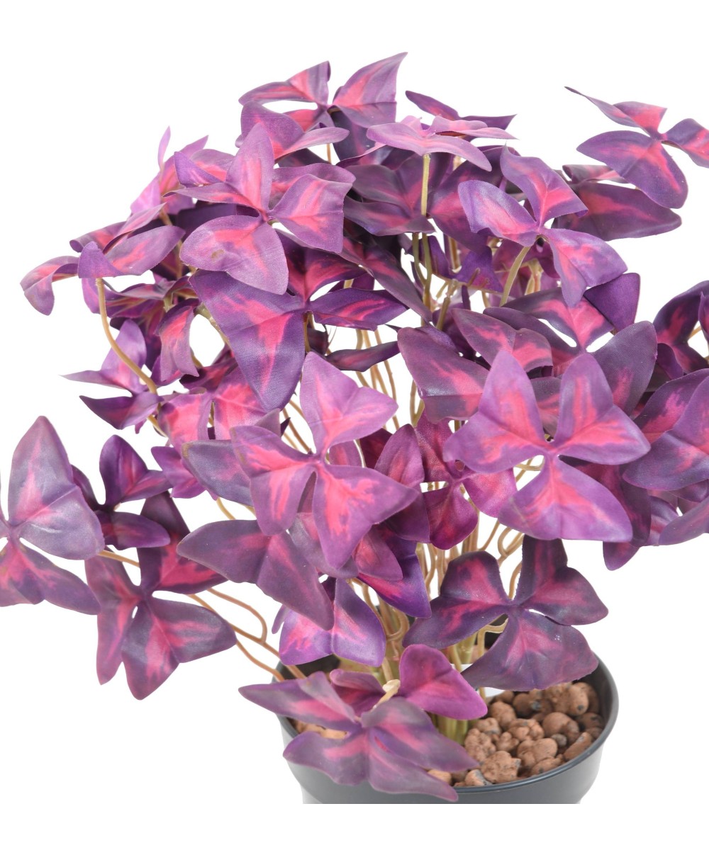 Kunstlik OXALIS (ripslill)