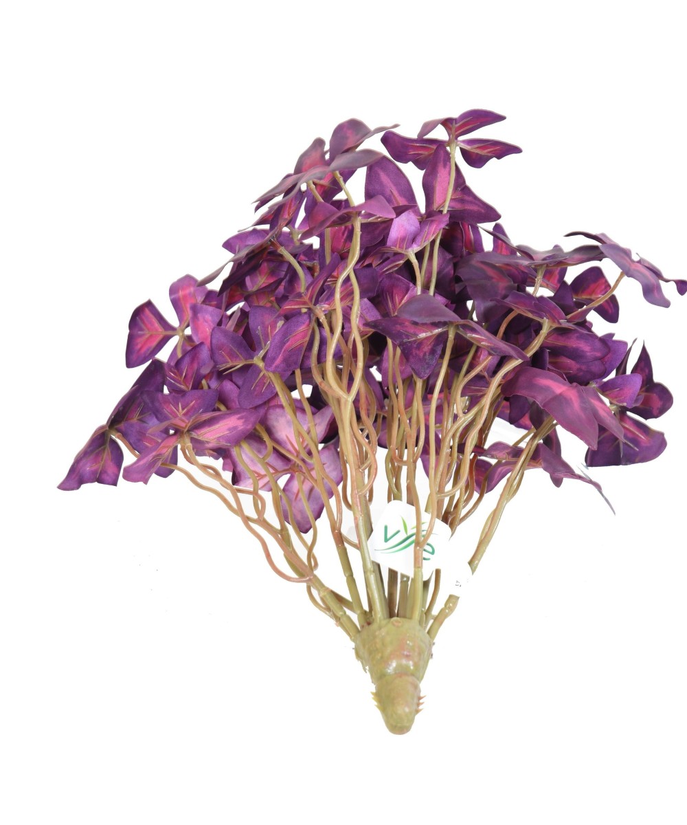 Kunstlik OXALIS (ripslill)