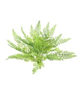 Artificial FERN DAVALLIA BULLATA 45