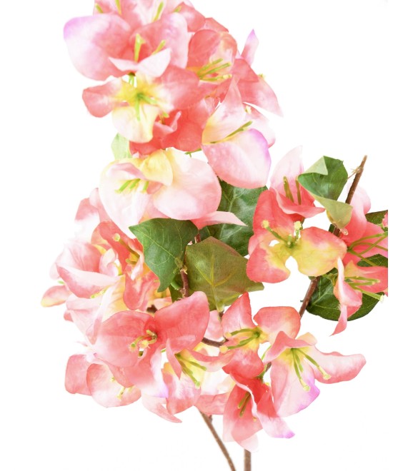 Kunstbugenvillea dekoratiivoks