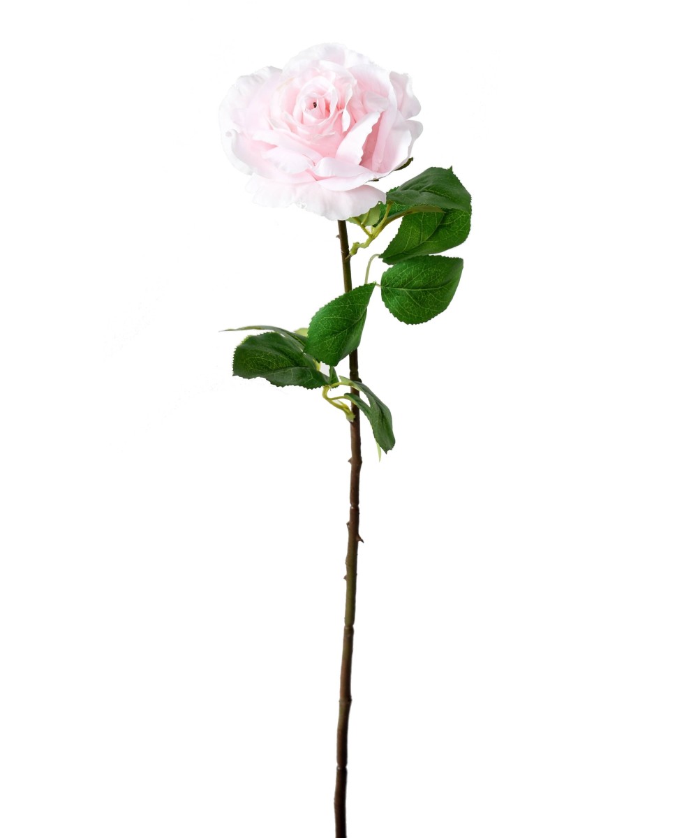 Artificial ROSE 66