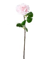Artificial ROSE 66