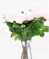Artificial ROSE 66