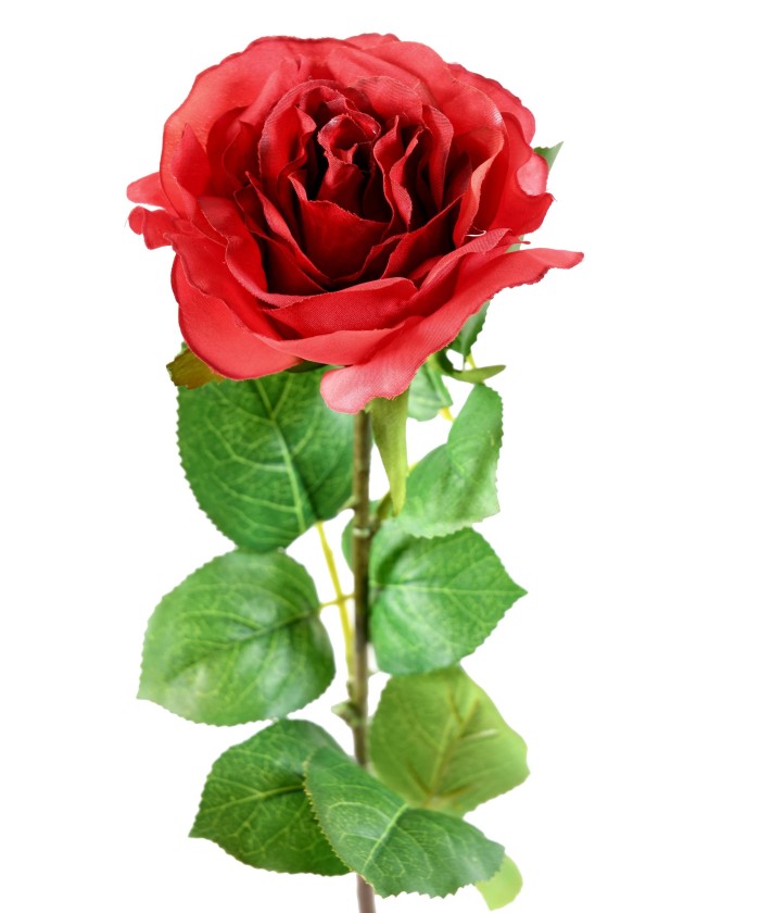 Artificial ROSE 66