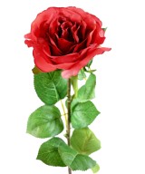Artificial ROSE 66