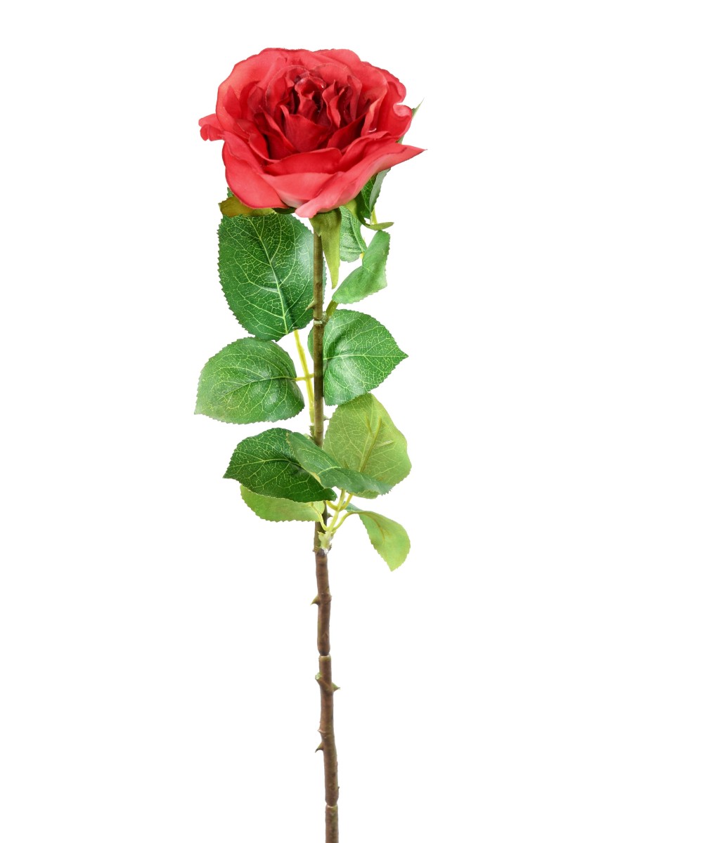 Artificial ROSE 66