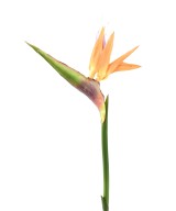 Artificial STRELITZIA (Bird of paradise) 80