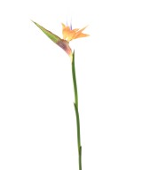 Artificial STRELITZIA (Bird of paradise) 80