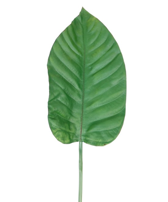 Artificial ALOCASIA LEAF 100