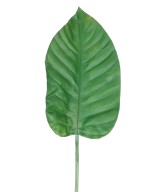 Artificial ALOCASIA LEAF 100