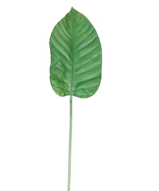 Artificial ALOCASIA LEAF 100