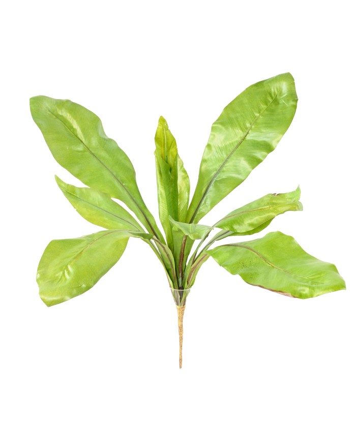 Artificial ASPLENIUM S