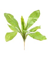 Artificial ASPLENIUM S