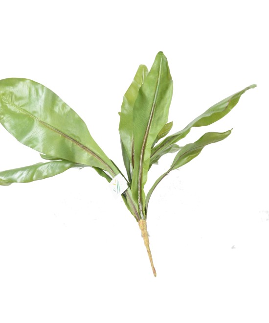Artificial ASPLENIUM S