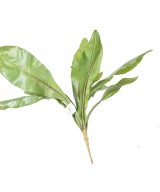 Artificial ASPLENIUM S