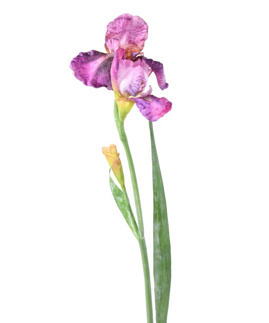 Artificial IRIS