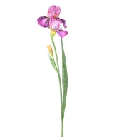 Artificial IRIS