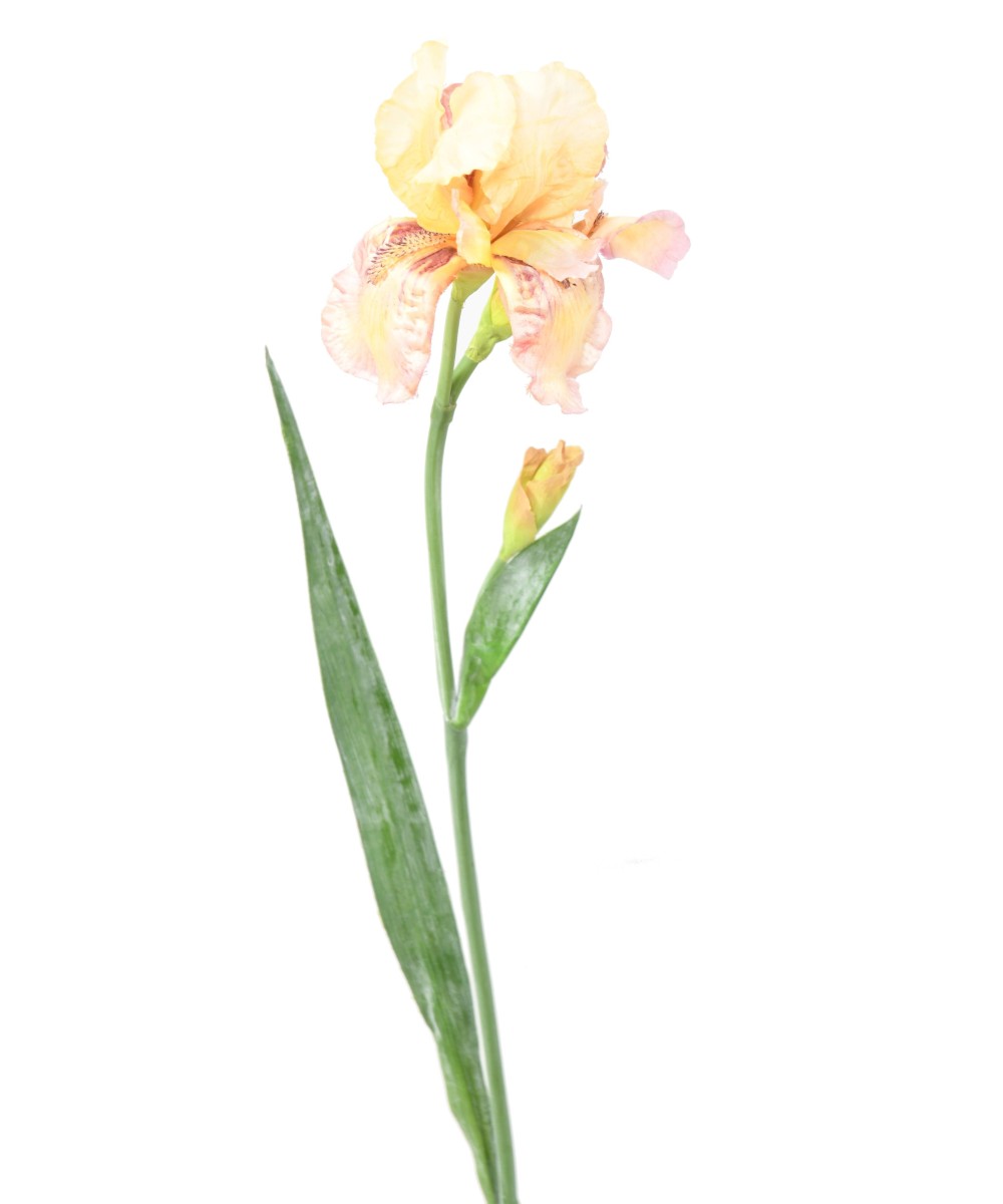 Kunstlik IRIS
