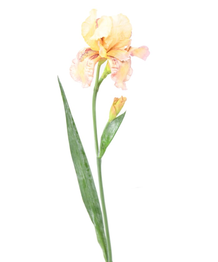 Kunstlik IRIS