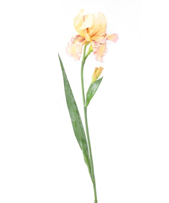 Kunstlik IRIS