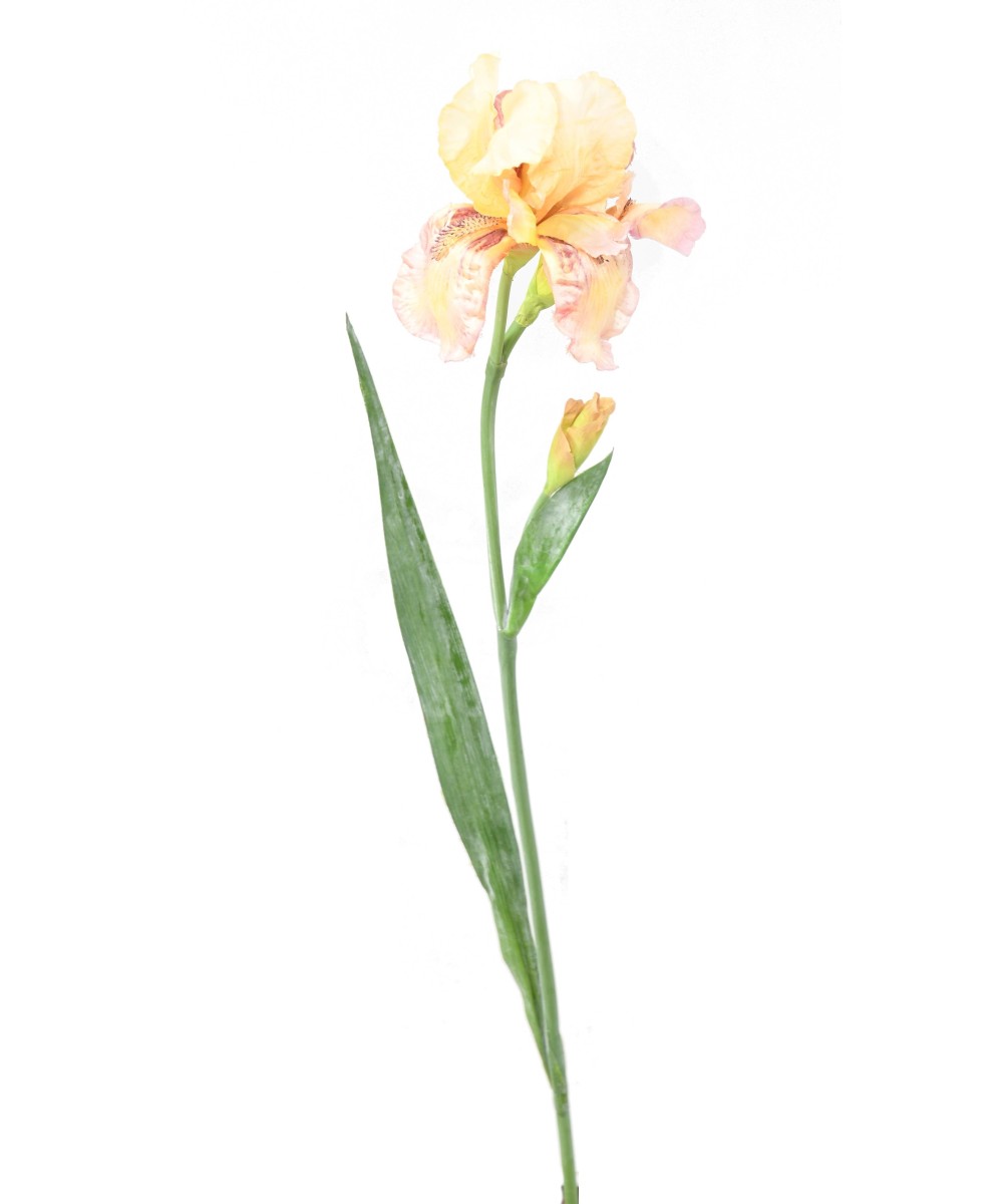 Kunstlik IRIS
