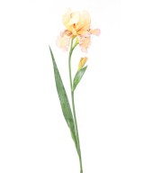 Kunstlik IRIS