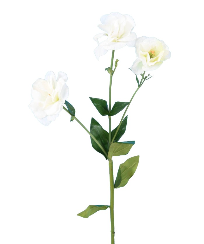 Kunstlik LISIANTHUS