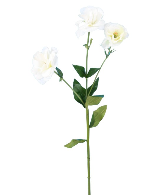 Kunstlik LISIANTHUS
